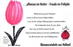 Blumenzwiebel aus Holland 1961 105.jpg